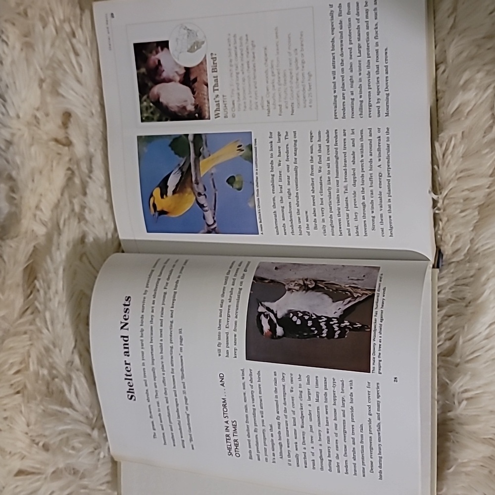 Stokes Bird Book - Picture 6 of 9